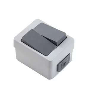 Part Electric "Berkeh" Model Surface-Mounted Double Switch